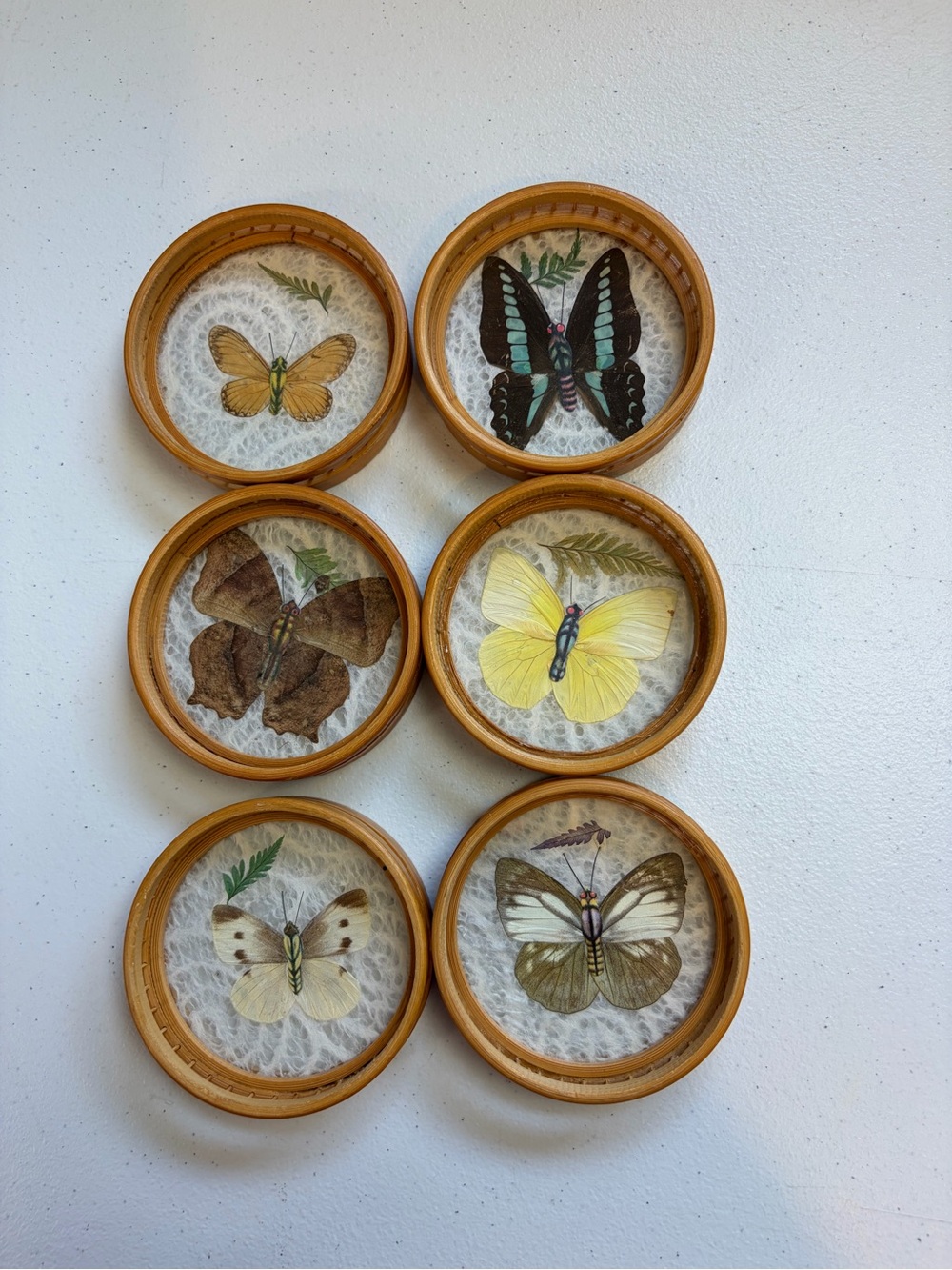 Vintage 1970s Bamboo Preserved Butterfly Coasters Lot of 6 Boho Bohemian Barware